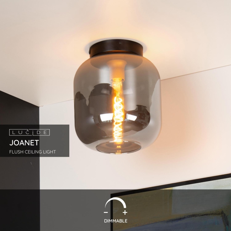 Lucide JOANET - Zapustené stropné svietidlo - Ø 25 cm - 1xE27 - Smoke Grey